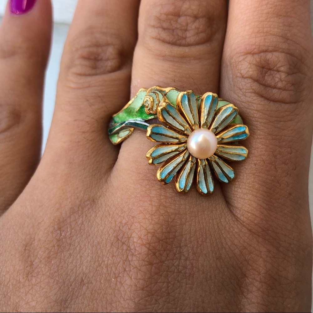 Solid gold and silver enamel ring